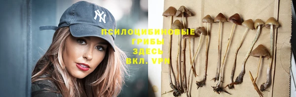 тгк Саяногорск