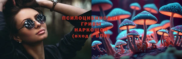 тгк Саяногорск